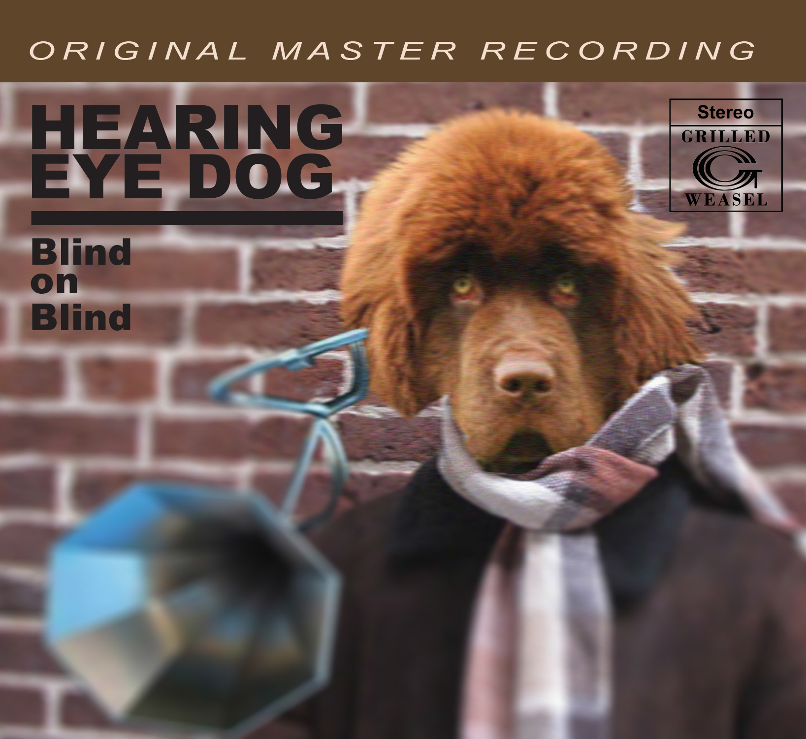 Hearing Eye Dog